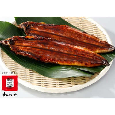 九州産うなぎ蒲焼大5尾(1尾あたり160～189g)