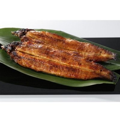【毎月定期便】九州産手焼き炭火うなぎ蒲焼2尾(1尾あたり120～149g)全3回