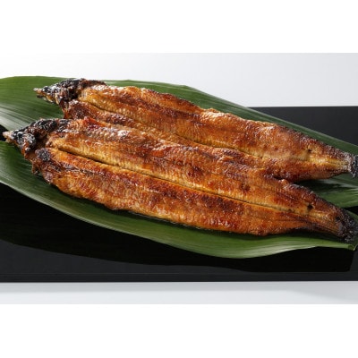 【毎月定期便】九州産手焼き炭火うなぎ蒲焼2尾(1尾あたり120～149g)全4回