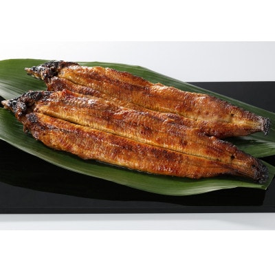 【毎月定期便】九州産手焼き炭火うなぎ蒲焼2尾(1尾あたり120～149g)全5回
