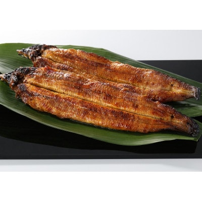 【毎月定期便】九州産手焼き炭火うなぎ蒲焼2尾(1尾あたり120～149g)全6回