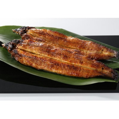 【毎月定期便】九州産手焼き炭火うなぎ蒲焼2尾(1尾あたり120～149g)全12回