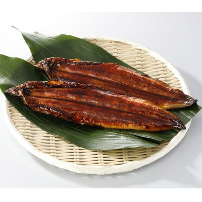 【毎月定期便】鰻天屋の九州産うなぎ 蒲焼 約140g×2尾セット全3回