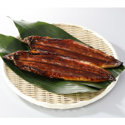【毎月定期便】鰻天屋の九州産うなぎ 蒲焼 約140g×2尾セット全4回