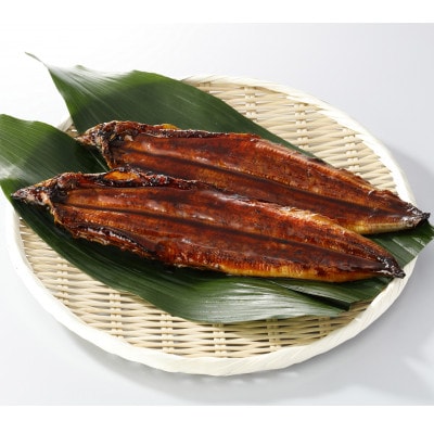 【毎月定期便】鰻天屋の九州産うなぎ 蒲焼 約140g×2尾セット全5回