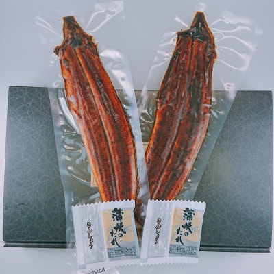 【毎月定期便】鰻天屋の九州産うなぎ 蒲焼 約140g×2尾セット全5回