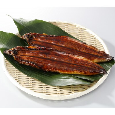 【毎月定期便】鰻天屋の九州産うなぎ 蒲焼 約140g×2尾セット全6回