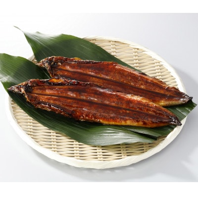 【毎月定期便】鰻天屋の九州産うなぎ 蒲焼 約140g×2尾セット全12回