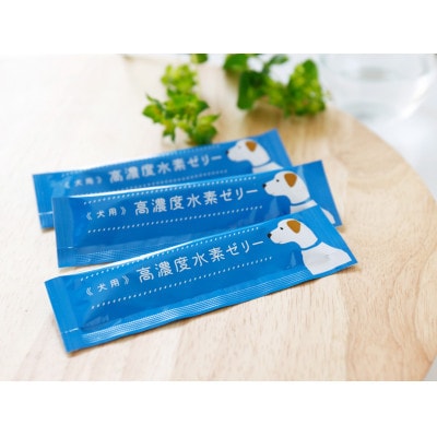 【毎月定期便】高濃度水素ゼリー　犬用　5g×120本全6回