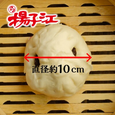揚子江特製 豚まん・あんまんセット(豚まん×8個、あんまん×2個)直径約10cmの大きなあんまん付!