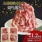 【九州産黒毛和牛】切り落とし 約1.2kg 300g×4パック 小分け