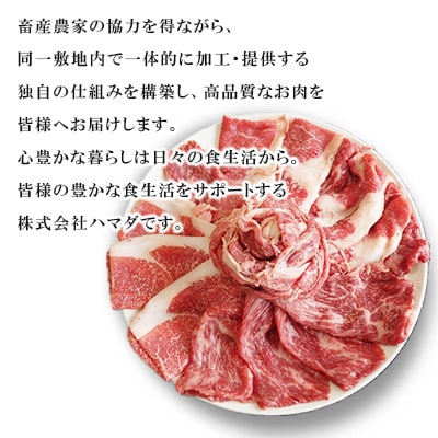 【九州産黒毛和牛】赤身スライス(もも・うで)約900g 300g×3パック 小分け
