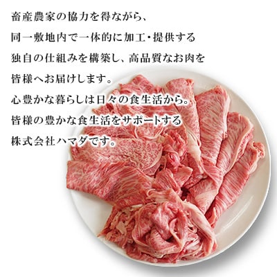 【A5限定!!】九州産黒毛和牛 肩ローススライス 約900g 300g×3パック 小分け