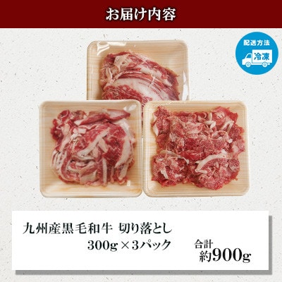 【九州産黒毛和牛】切り落とし 約900g(300g×3パック)小分け