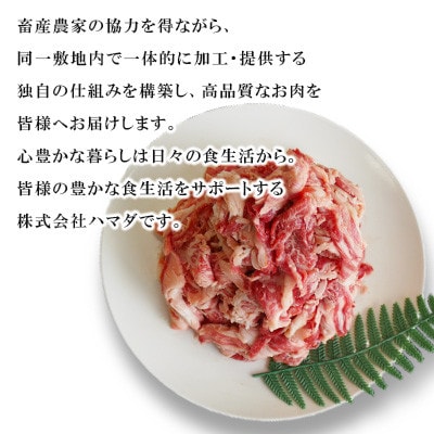 【九州産黒毛和牛】切り落とし 約900g(300g×3パック)小分け