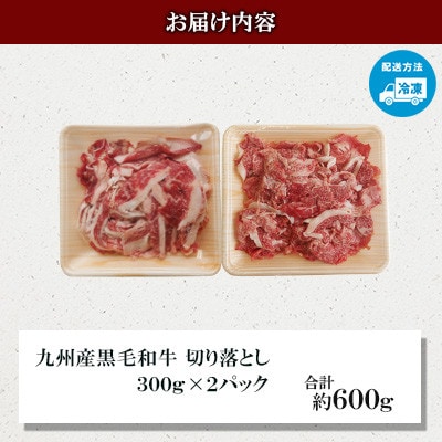 【九州産黒毛和牛】切り落とし 約600g(300g×2パック)小分け