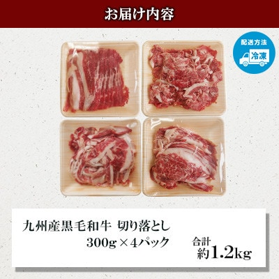 【毎月定期便】九州産 黒毛和牛 切り落とし約1.2kg (300g×4パック)全6回