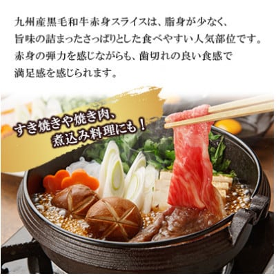 【毎月定期便】九州産黒毛和牛 赤身スライス (もも・うで) 約900g (300g×3パック)全6回