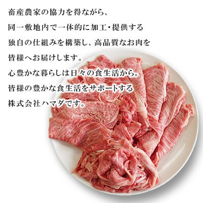 【毎月定期便】【A5限定!!】九州産黒毛和牛 肩ローススライス 約900g 300g×3パック全6回