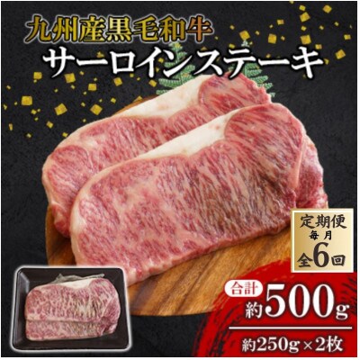 【毎月定期便】【九州産黒毛和牛】サーロインステーキ 約500g (約250g×2枚)全6回