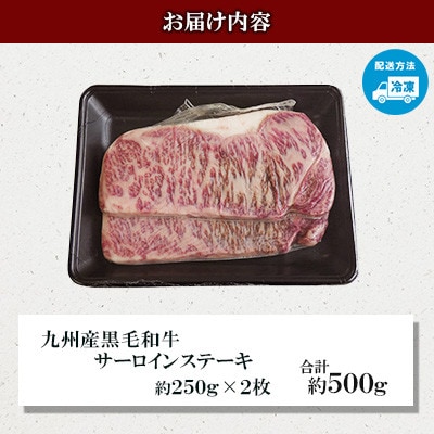 【毎月定期便】【九州産黒毛和牛】サーロインステーキ 約500g (約250g×2枚)全6回