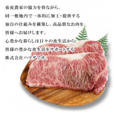 【毎月定期便】【九州産黒毛和牛】サーロインステーキ 約500g (約250g×2枚)全6回