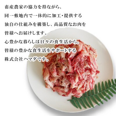 【毎月定期便】【九州産黒毛和牛】切り落とし 約1.2kg 300g×4パック 小分け全3回