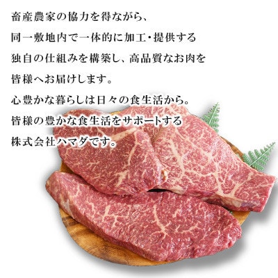 【毎月定期便】【九州産黒毛和牛】～上品で味わい深い～モモステーキ約400g(約200g×2枚)全3回