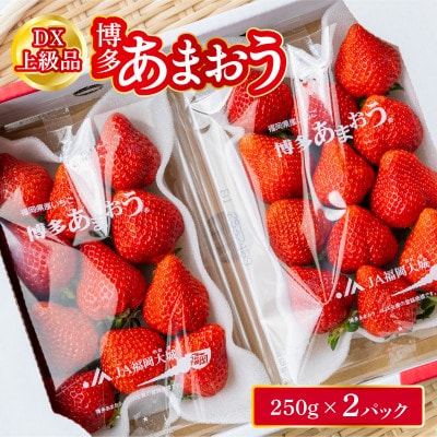 福岡県産 博多あまおう DX上級品 約500g (約250g×2パック入り)【12月上旬発送】