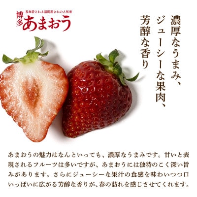 福岡県産 博多あまおう DX上級品 約500g (約250g×2パック入り)【12月上旬発送】