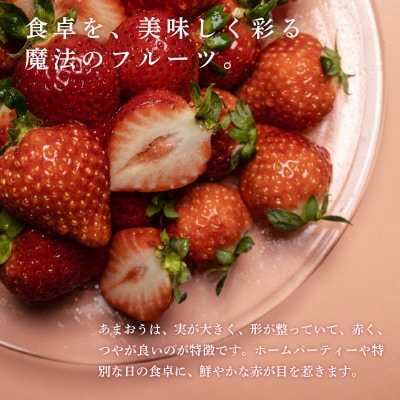 福岡県産 博多あまおう DX上級品 約500g (約250g×2パック入り)【12月上旬発送】