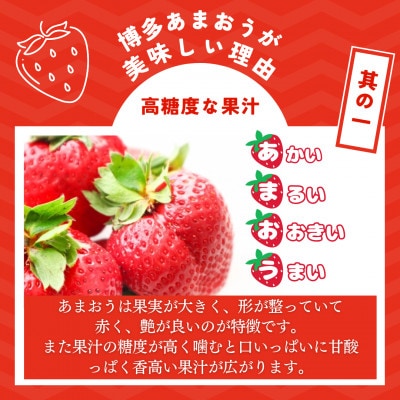 福岡県産 博多あまおう 約1.12kg (約280g×4パック入り)【2025年1～3月発送】