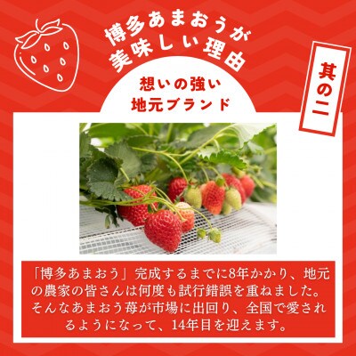 福岡県産 博多あまおう 約1.12kg (約280g×4パック入り)【2025年1～3月発送】