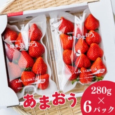 福岡県産 博多あまおう 約1.68kg (約280g&times;6パック入り)【2024年1～3月発送】