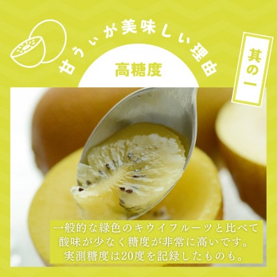 福岡県産 博多甘うぃ 約1.4kg (大玉9玉入り)【2025年10～11月発送】