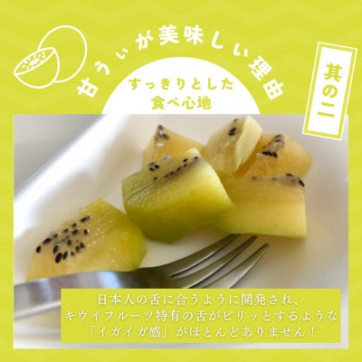 福岡県産 博多甘うぃ 約1.4kg (大玉9玉入り)【2025年10～11月発送】