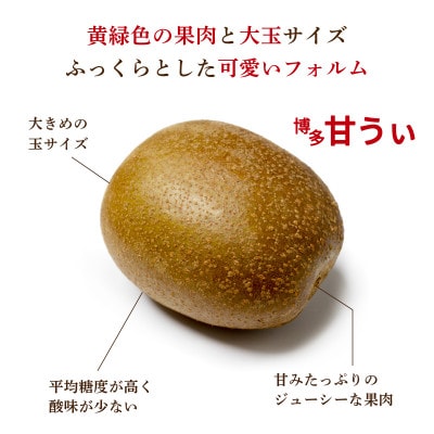 福岡県産 博多甘うぃ 約3.5kg (20玉～27玉入り)【2026年10月下旬より発送】