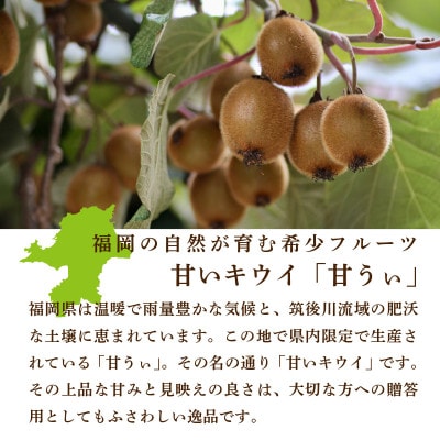 福岡県産 博多甘うぃ 約3.5kg (20玉～27玉入り)【2026年10月下旬より発送】