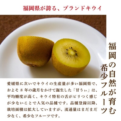 福岡県産 博多甘うぃ 約3.5kg (20玉～27玉入り)【2026年10月下旬より発送】