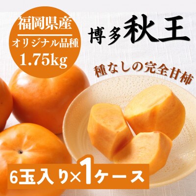 福岡県産 【優等品】博多秋王 約1.75kg(6玉入り)【2024年10月下旬～11月発送】