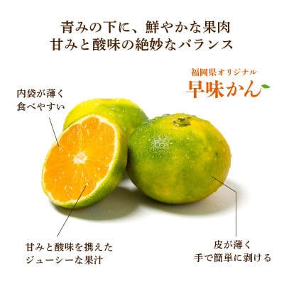 福岡県産 早味かん M・Sサイズ　約4kg(40玉～50玉入)【2026年9月下旬より順次発送】
