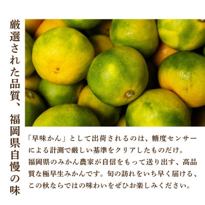 福岡県産 早味かん M・Sサイズ　約4kg(40玉～50玉入)【2026年9月下旬より順次発送】