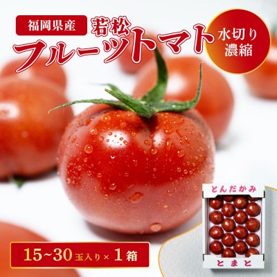 福岡県北九州市若松区産 若松濃縮トマト　1.2K箱(15玉～30玉入り)【3月上旬より順次発送】