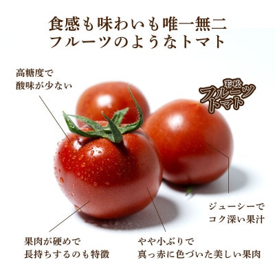 福岡県北九州市若松区産 若松濃縮トマト　1.2K箱(15玉～30玉入り)【3月上旬より順次発送】