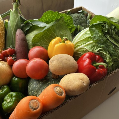 福岡県北九州市産 冬のお野菜セット　8～10品程度【12月より順次発送】