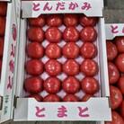 【先行受付　4月より順次発送】若松濃縮トマト　1.2kg箱(15玉～30玉入り)2箱　計約2.4kg