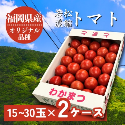 若松濃縮トマト　1.2kg箱(15玉～30玉入り)2箱　計約2.4kg