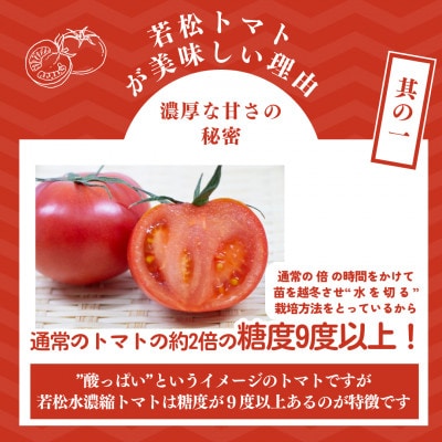 若松濃縮トマト　1.2kg箱(15玉～30玉入り)2箱　計約2.4kg