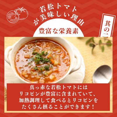 若松濃縮トマト　1.2kg箱(15玉～30玉入り)3箱　計約3.6kg