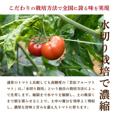 若松濃縮トマト　1.2kg箱(15玉～30玉入り)3箱　計約3.6kg